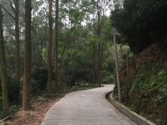 -大尖山公园