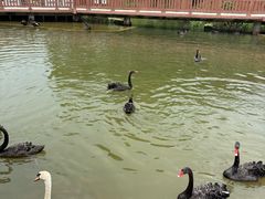 -无锡动物园·太湖欢乐园