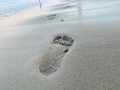 -黄金海岸
