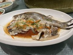 -真定郝家排骨(正定县总店)