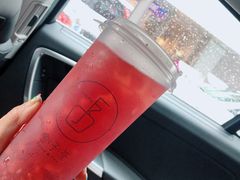多肉车里-舍予茶(桂林路店)