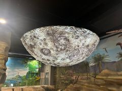 -辽宁古生物博物馆