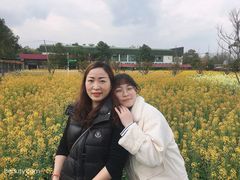 -洪湖家庭农场·团建·露营·会议