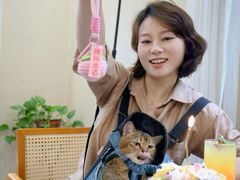 -小苍兰风铃草蛋糕甜品(沈阳店)