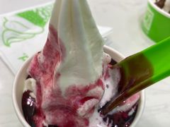 -Salud撒露欧洲冻酸奶(五道口购物中心店)