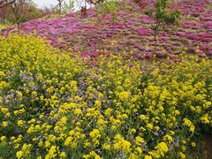 -古柏渡飞黄旅游区