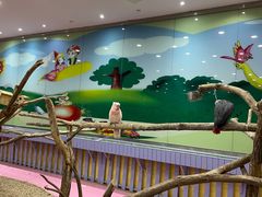 -齐齐哈尔龙沙动植物园