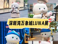 -深圳湾万象城