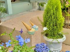 -苏小糖(鼓浪屿三丘田花园店)
