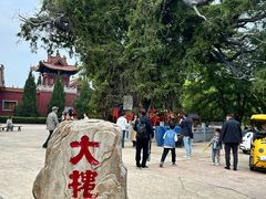-大槐树寻根祭祖园