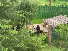 -沈阳森林动物园