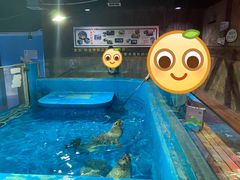 -梦幻海洋王国(吾悦广场张家港店)