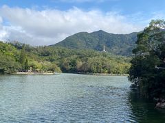 -深圳仙湖植物园