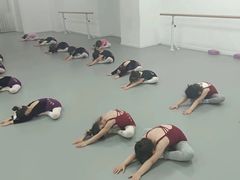 -西安小天鹅艺术团(金花路校区)