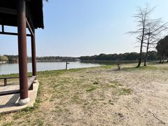 -广富林郊野公园