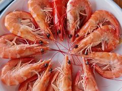 -蓝湾碧波·老字号·疍家非遗海上餐厅