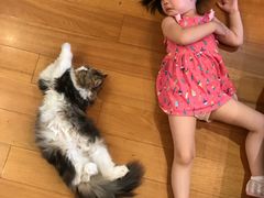 -猫大福·Fortune Cat猫舍(百子湾店)