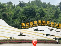 -西双版纳原始森林公园