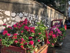 -桂林市花鸟市场