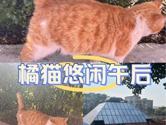 -南越王博物院