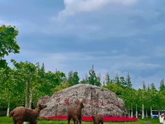 -上海海湾国家森林公园