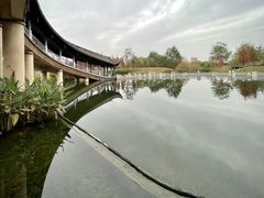 -眉山湿地公园(东坡区)