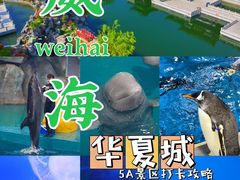 -威海华夏城景区