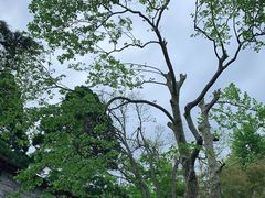 -庐山风景名胜区