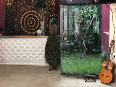 -兰纳泰式spa(古城店)