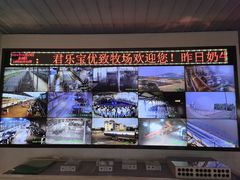 -君乐宝优致牧场