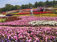 -沈阳植物园