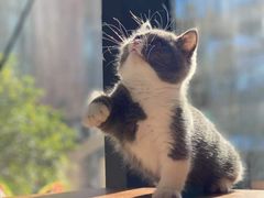 -安吉汽车生活馆(大宁中心广场C3栋店)