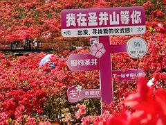 -瑞安圣井山景区