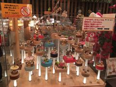 -小樽八音盒堂(手工制作体验馆店)