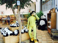 -济州岛泰迪熊博物馆