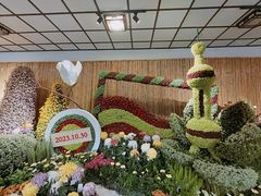 -杭州植物园
