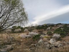 -北京西山国家森林公园