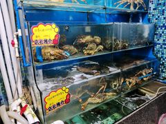 水产区-蚝专家(北滘店)