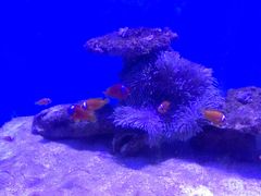 -常州海昌海洋探索馆