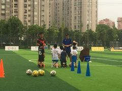 -体汇+名都体育公园足球场