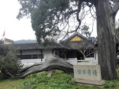 -司徒庙
