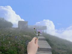 -白草畔自然风景区