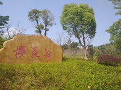 -聚龙山公园