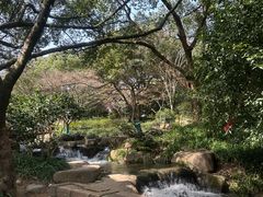 -中国茶叶博物馆(双峰馆区)