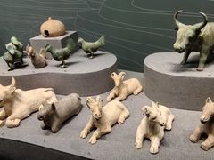 -广西壮族自治区博物馆