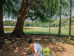 -南宁良凤江国家森林公园