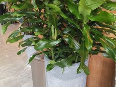 -阿杜打边炉(五江天街店)