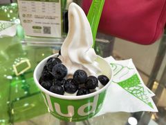 -Salud撒露欧洲冻酸奶(北苑上品店)