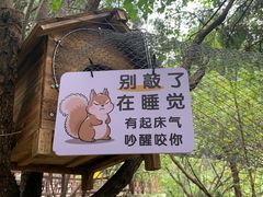 -佛慧山