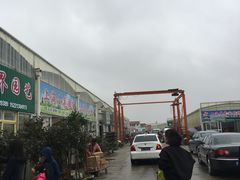 -龙大花卉苗木市场